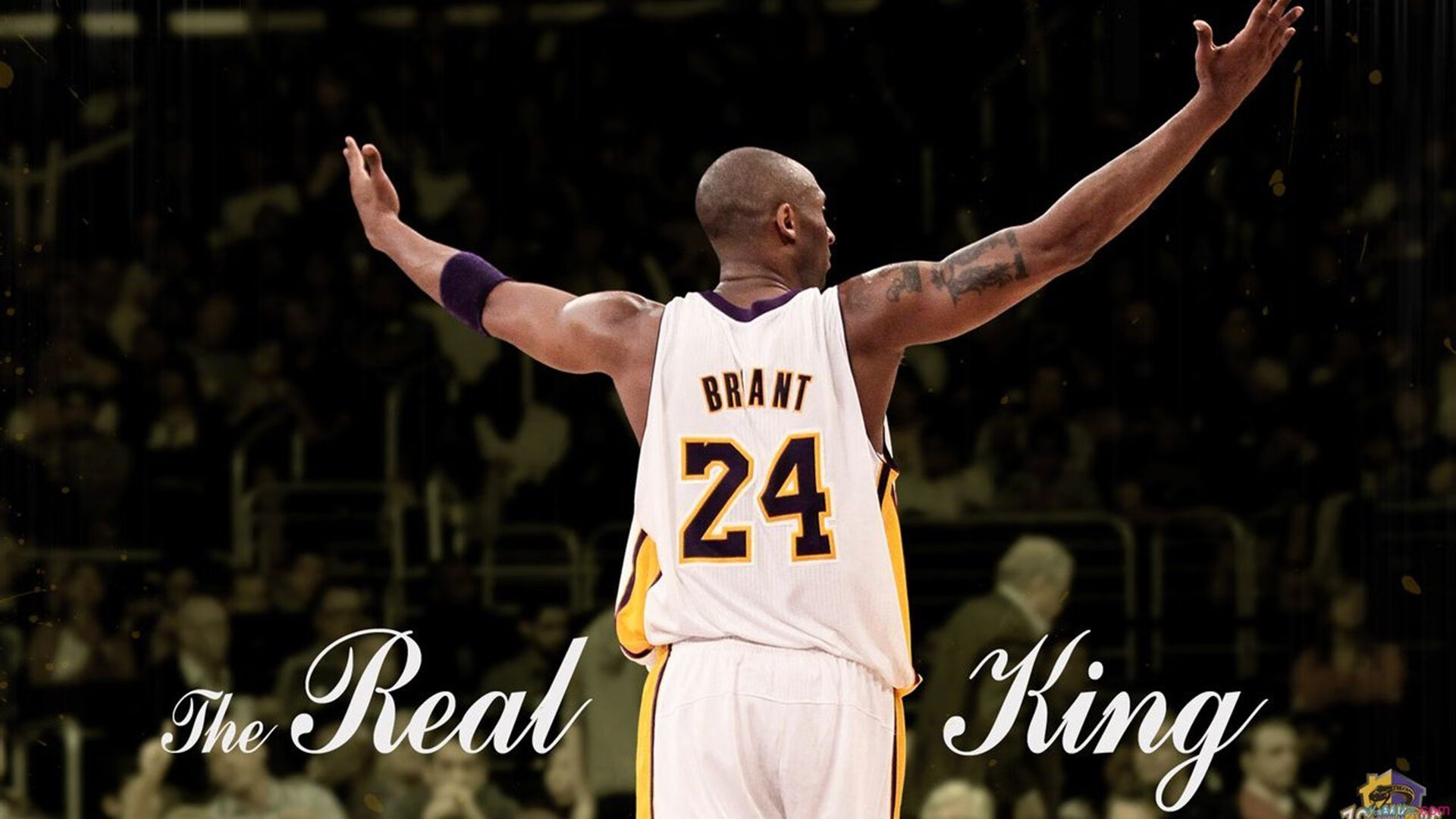 《ApexLegends》新角色“闪电”上线，战术空间扩大